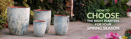 How to Choose the Right Planters for Spring Season?