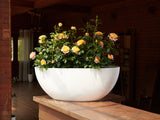 Low Oval Planters