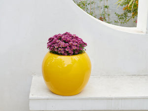 Sphere Planter- (Single Planter)