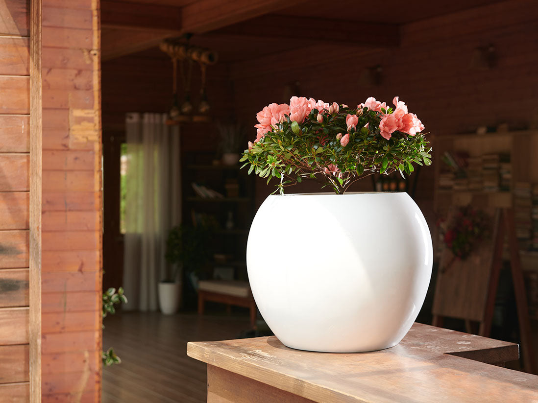 Sphere Planter- (Single Planter)