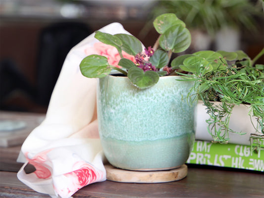 Jewel Teacup Planter