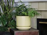 Melrose Modern Planter- 10.0" x 10.5"