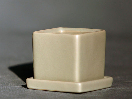 Cube Pot with Detached Saucers (LARGE)