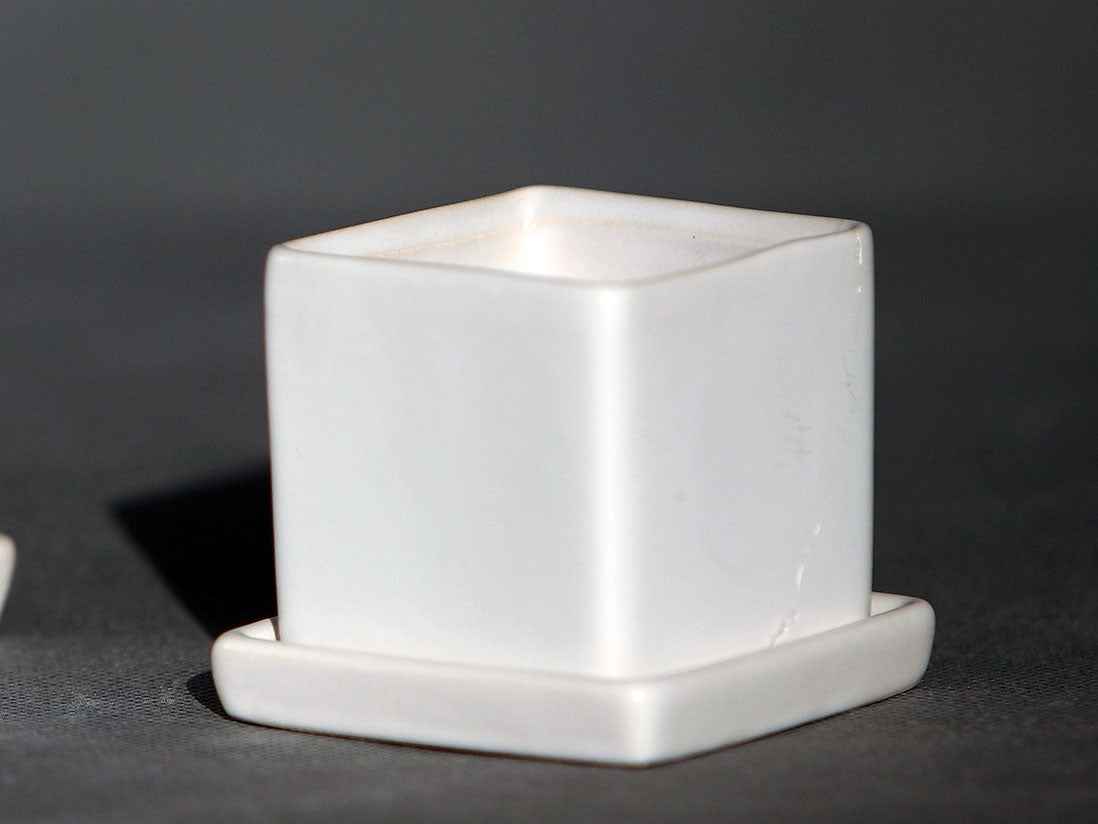 Cube Pot with Detached Saucers- 2.5" x 2.5"