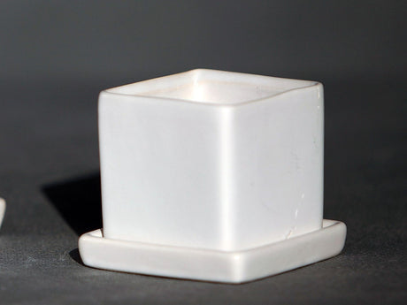 Cube Pot with Detached Saucers (LARGE)