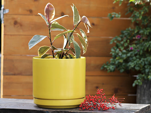 Mid Modern Planter With Detached Saucer