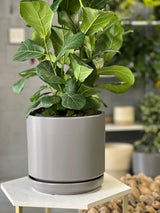 Mid Modern Planter With Detached Saucer