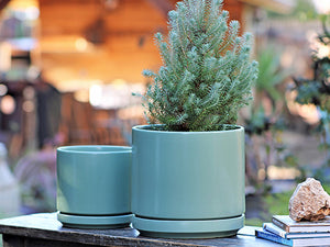 Mid Modern Planter With Detached Saucer