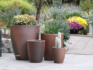 XLG Cone Planter - Set of 4 ( Clay )