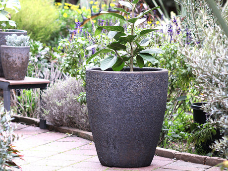 Cone Planter - Set of 3 ( Glazed )