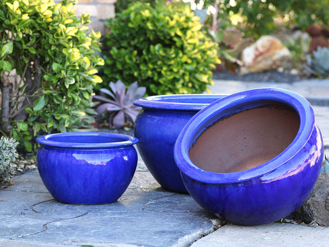 Low Jar Planter - Set of 3