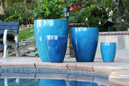 Fish Bowl Pots - Set of 3