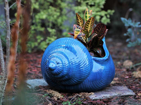 Shell Planter