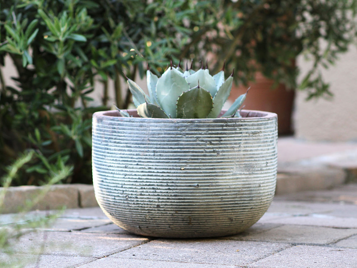 Egg Horizontal Ripples Planter - Set of 3