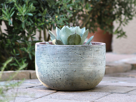 Egg Horizontal Ripples Planter - Set of 3