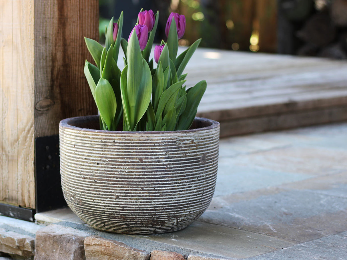 Egg Horizontal Ripples Planter - Set of 3