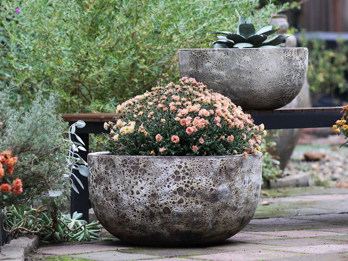 Half Moon Bowl - Set of 2