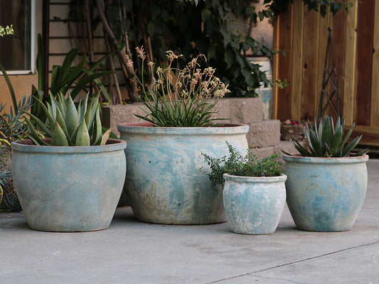 Standard Garden Pot- Set of 4