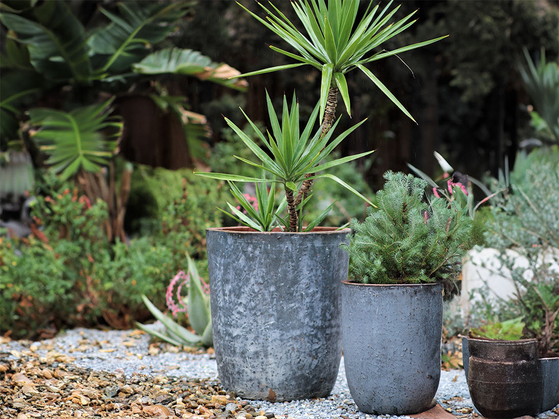 Milano Tall Barrel Planter - Set of 4