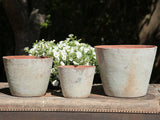 Hand Thrown Planter- Set of 3