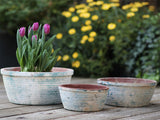 English Tumbled Pots Low- Set of 3