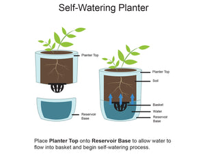 Urban Dweller Self-Watering Pot- Sand