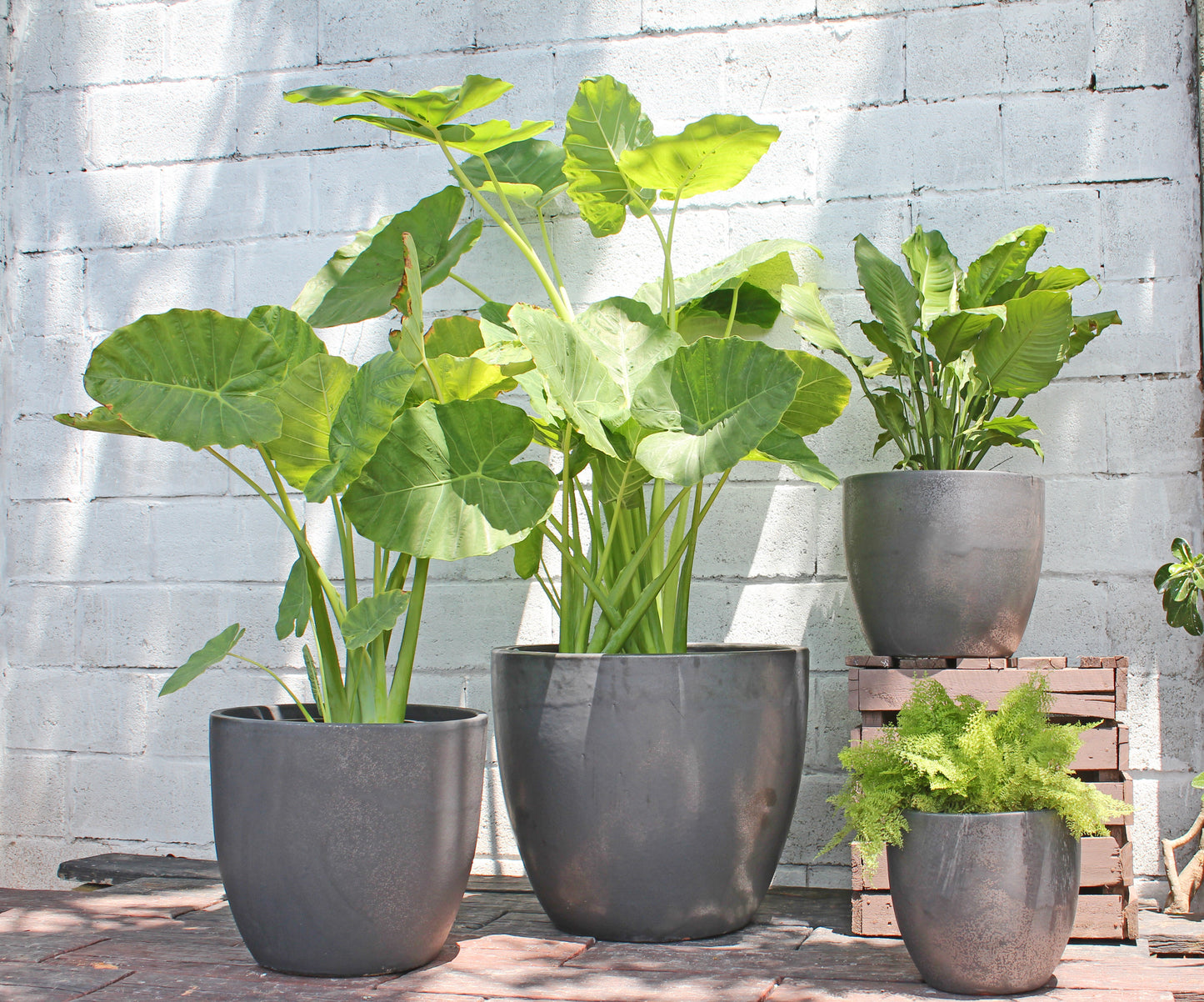 Coco Pots - Set of 4