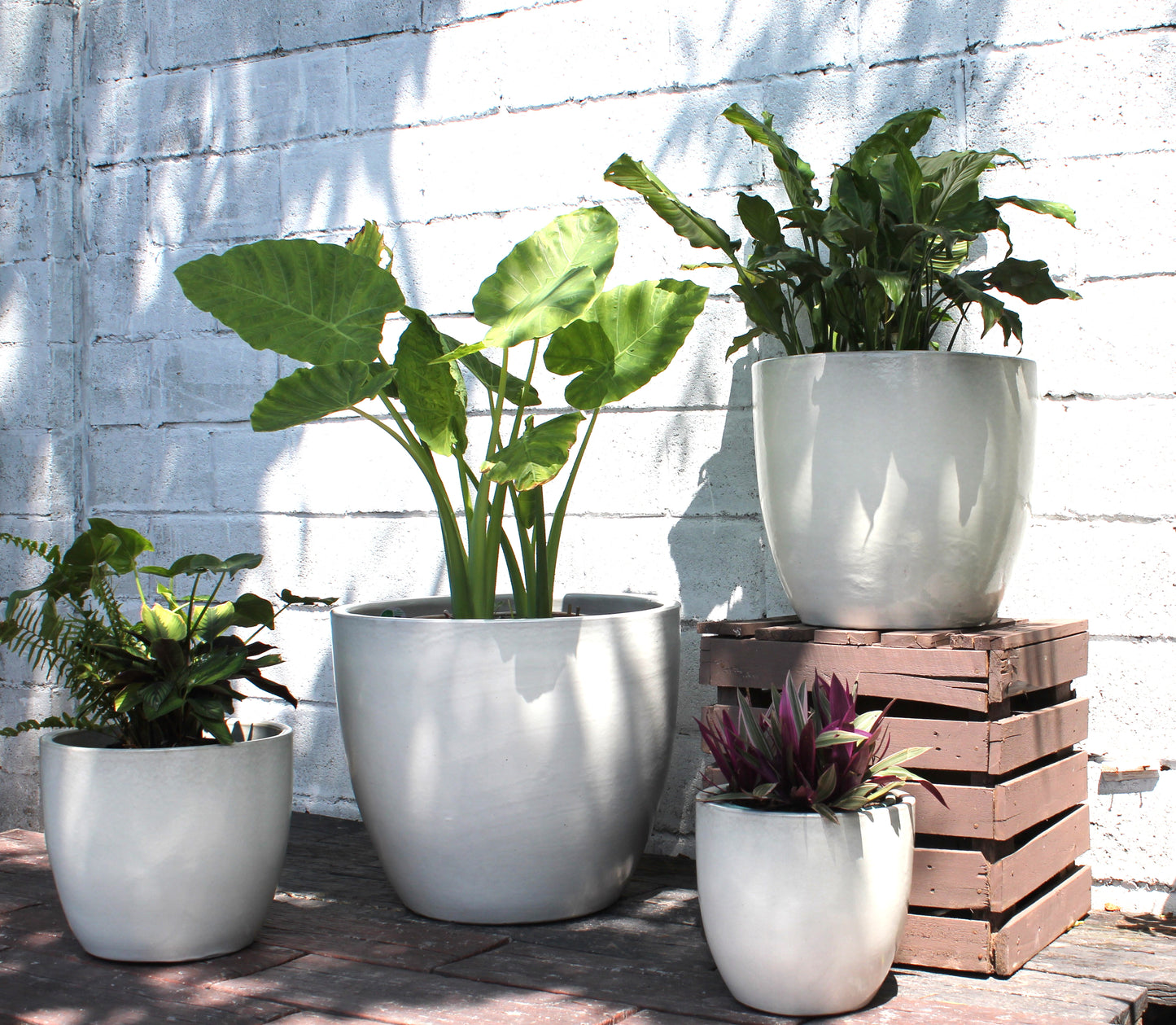 Coco Pots - Set of 4